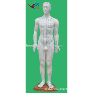 Human acupuncture model 60CM